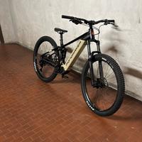 E-bike professionale