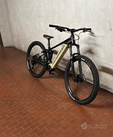 E-bike professionale