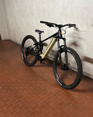 E-bike professionale