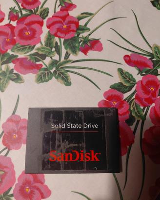 Solid State Drive  SanDisk