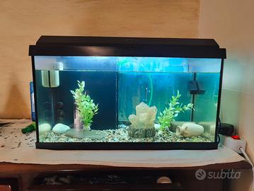 acquario juwel 