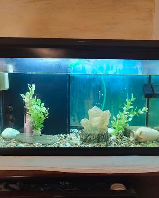 acquario juwel 