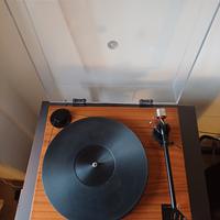 Gold Note Valore 425 plus