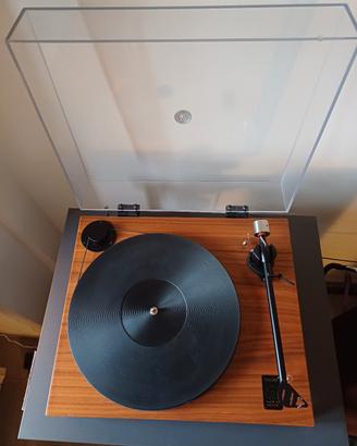 Gold Note Valore 425 plus