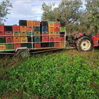 Carrello Pianale agricolo artigianale