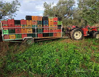 Carrello Pianale agricolo artigianale