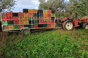Carrello Pianale agricolo artigianale