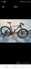 MTB ORBEA