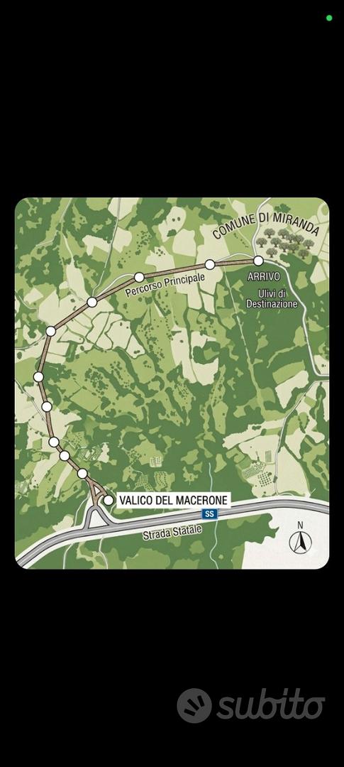 Terreno Agricolo con Uliveto -Comune Isernia - Vista 3