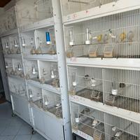 Gabbie da cova con carrello