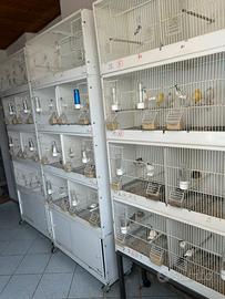 Gabbie da cova con carrello