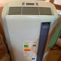 Pinguino De Longhi climatizzatore/deumidificatore