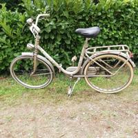 bicicletta pieghevole 