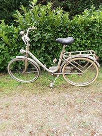 bicicletta pieghevole 