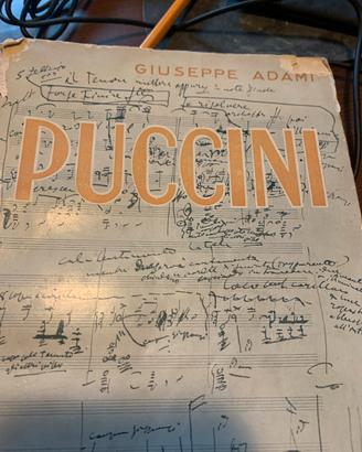 Giuseppe Adami (Puccini)