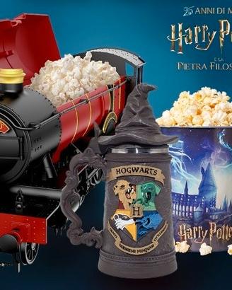 Harry Potter 25 anniversary set