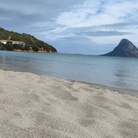 Trilocale in residence