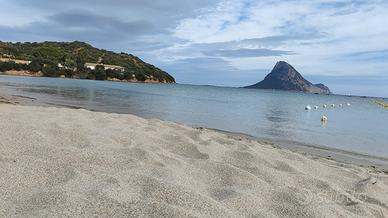 Trilocale in residence