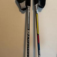 Bastoncini sci da fondo Salomon Equipe 20