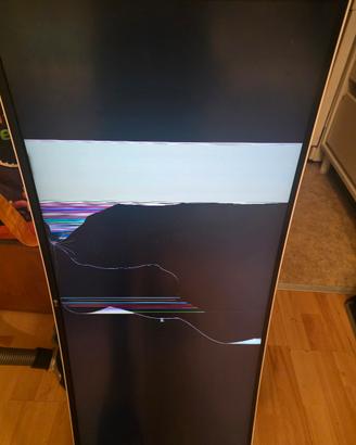 LG Monitor 