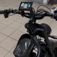 Bici elettrica