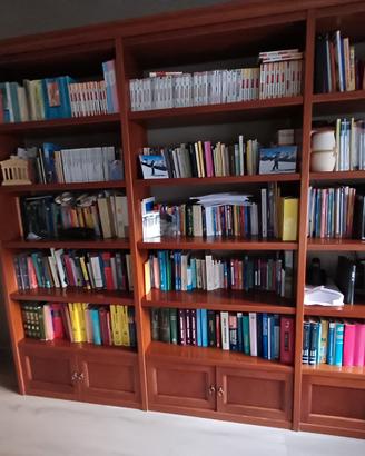 libreria vintage 