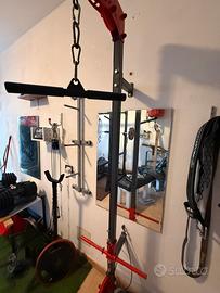 Ercolina palestra