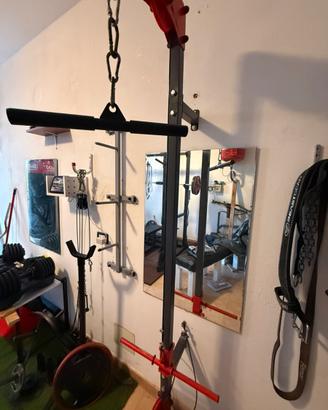 Ercolina palestra