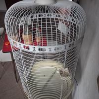 Gabbia per uccelli shabby