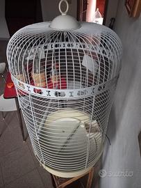 Gabbia per uccelli shabby