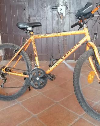 Mountain bike 