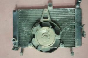 radiatore Yamaha Thundercat 600