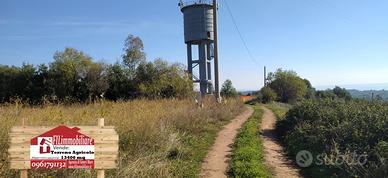 Terreno Agricolo a Torrazzo Sellia Marina 13400 mq
