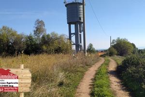Terreno Agricolo a Torrazzo Sellia Marina 13400 mq