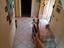 Immagine 21