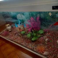 acquario 100 litri 