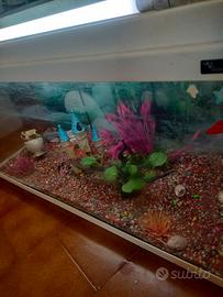 acquario 100 litri 