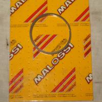 Fasce elastiche piaggio ciao malossi