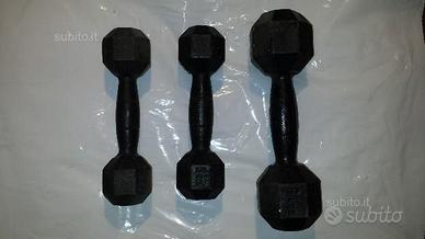 Manubri palestra Old School