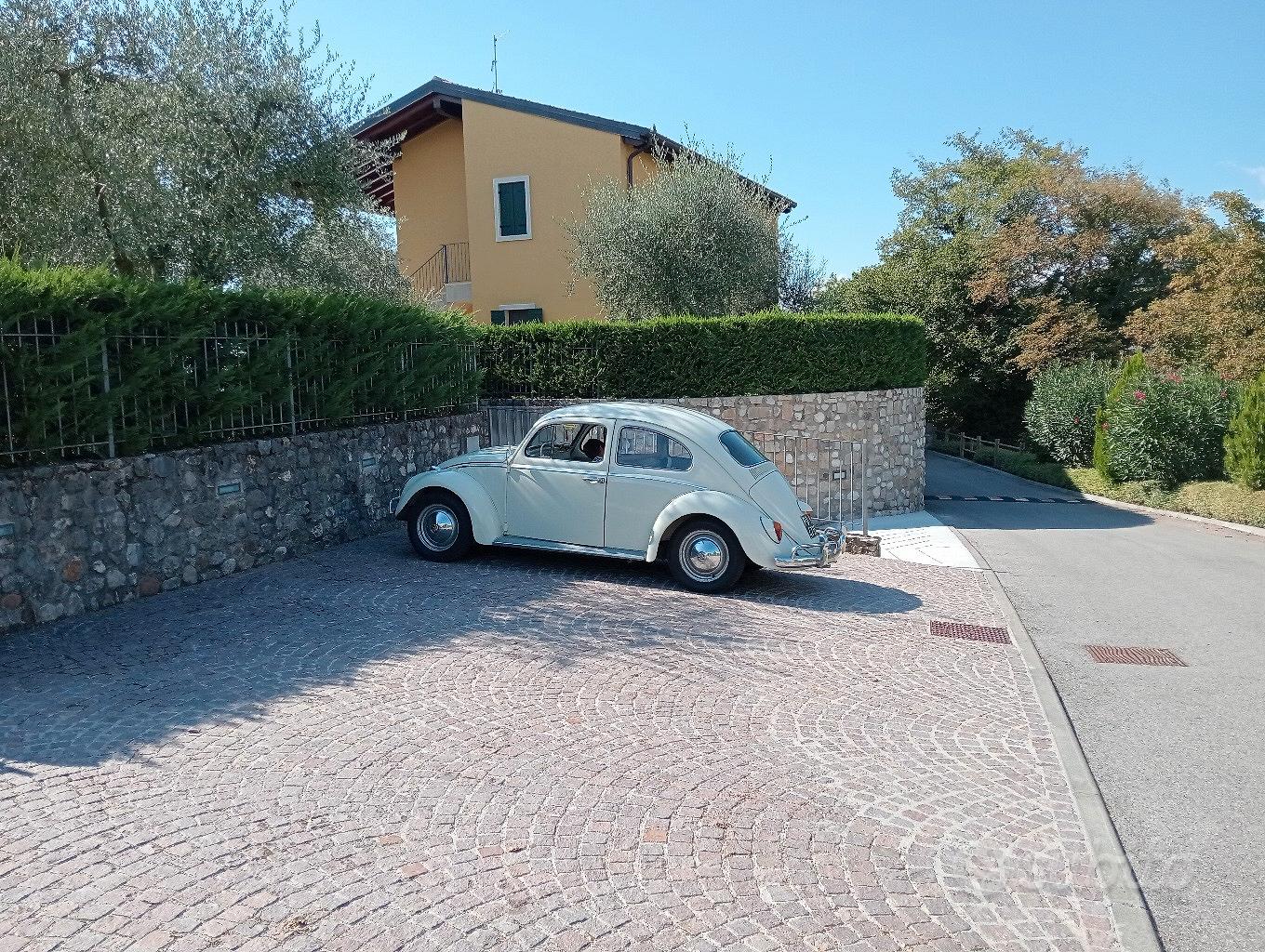 Volkswagen Maggiolino