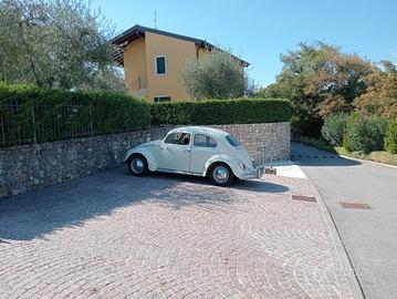 Volkswagen Maggiolino 