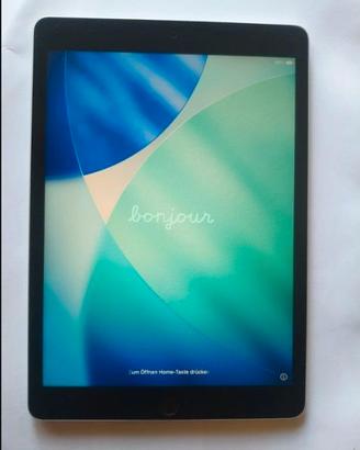 iPad 9 generazione 256 GB
