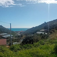 Terreno floricolo edificabile di 6000mq vista mare