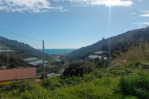 Terreno floricolo edificabile di 6000mq vista mare