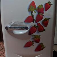 Mini Frigorifero Portatile Ardes