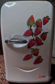 Mini Frigorifero Portatile Ardes