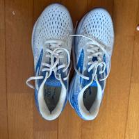 Brooks ghost 16