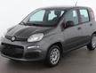 Fiat Panda 1.3 MJT 95 CV- Con 33.000 Km