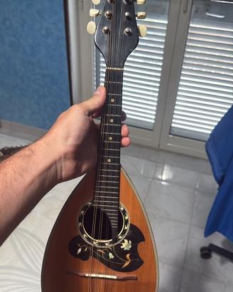 Mandolino kent