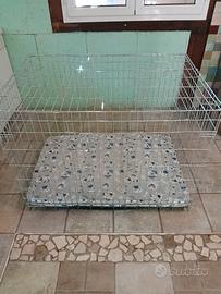 kennel per cani 